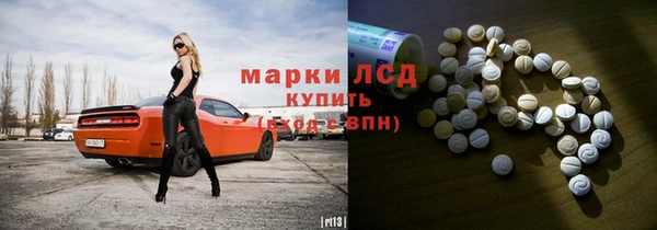 стаф Осташков