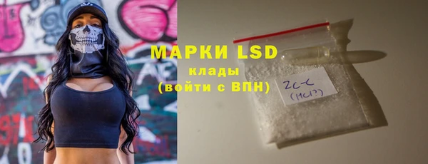 стаф Осташков