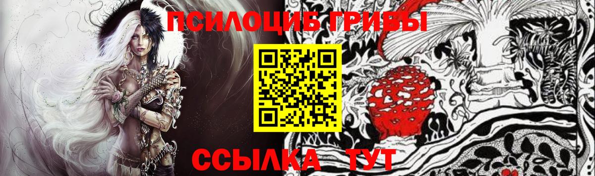 Псилоцибиновые грибы Cubensis  Галлюциногенные грибы Cubensis  Выборг 