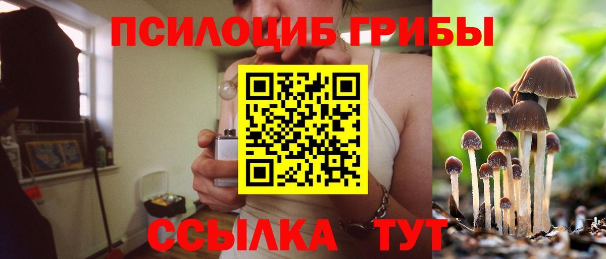 Галлюциногенные грибы GOLDEN TEACHER Выборг