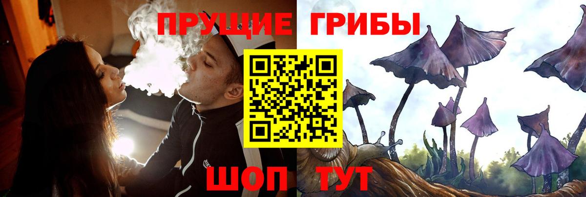 Галлюциногенные грибы ЛСД  наркотики  Выборг  Вход с VPN 